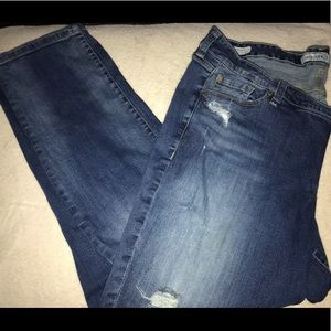 Torrid Jeans
